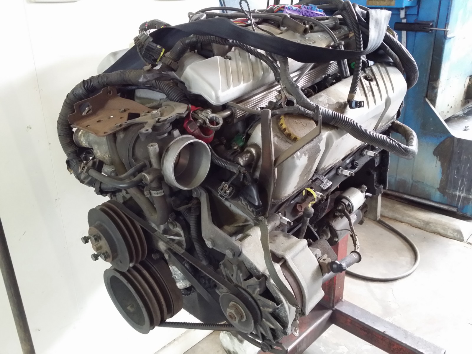 holden commodore v8 engine